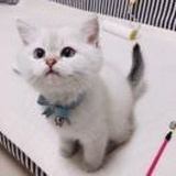 JHY🐱