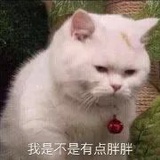 咣叽咣叽咣