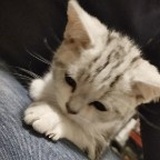 歸途