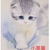 🍸小昕老师爱喝水