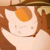 猫七