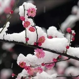 和光同尘