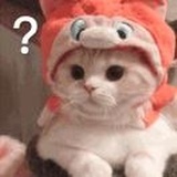 可达屁鸭