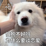 黑化版是谁
