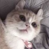 Giselle-