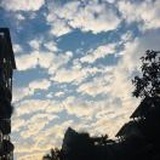 云清攸