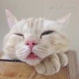 Ⅰ