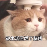水龙头在吃瓜