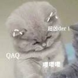 超凡脱俗