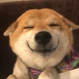 长在西南