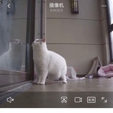 咖啡牛奶的麻麻