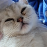 Anne