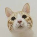 安