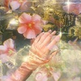 梦游的壁花小姐