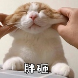 吧友猫酋