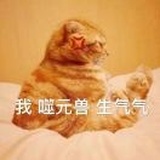 OK...喵
