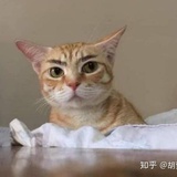 小鹿仔