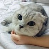 诗和远方