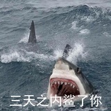 怪怪