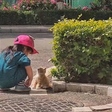 布满青苔