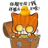 抢票冲鸭