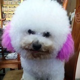 失忆