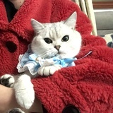 棉棉和小六