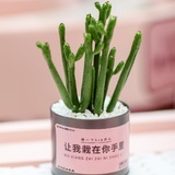 与吾
