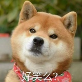 猫狗是一家