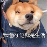 染夜