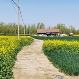 李小四