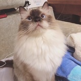 小小小小七