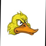 放荡不羁的鸭子