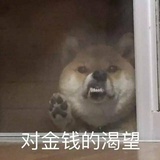 没有钱了
