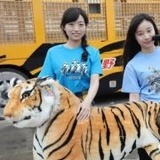 虎哥的眼睛