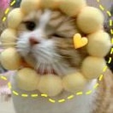 chiu