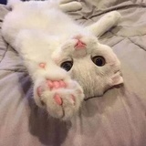 rosyclouds