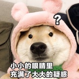 一个吐槽号