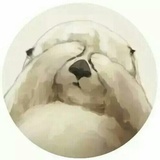 海绵宝宝走丢啦
