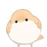 澈