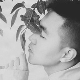 Andy占星塔罗