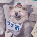 野绿