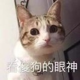 天花板有灰