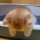 星星可以眨眼