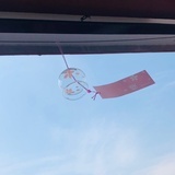 小马哥