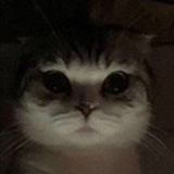 打一物