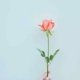 时尚达人
