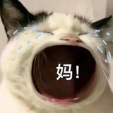 太空有辩证法吗