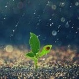 花生小说