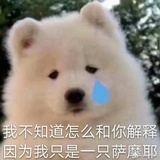 鱼崽鱼沼